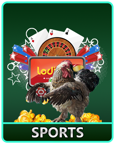 cockfighting cockfighting